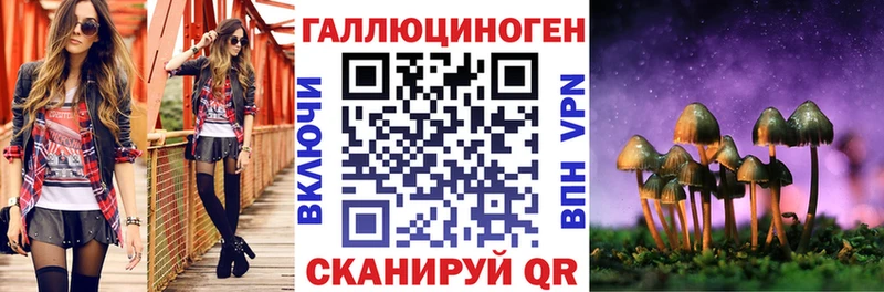 Купить закладки  Нестеров  Псилоцибиновые грибы MAGIC MUSHROOMS 